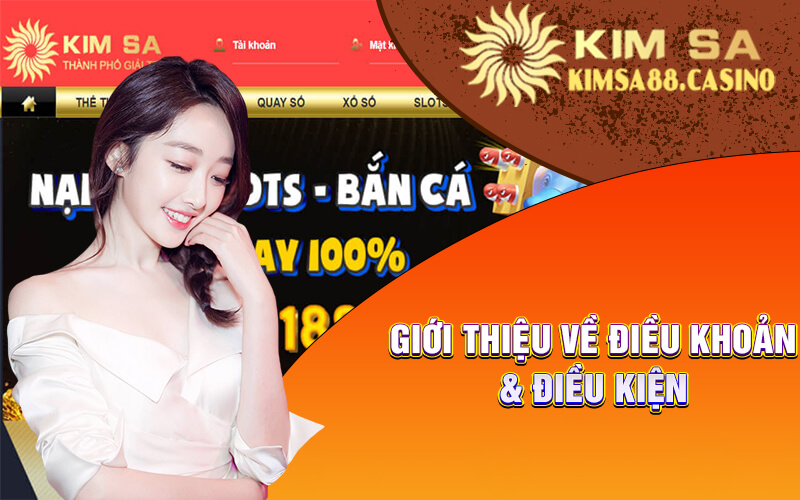 Giới Thiệu Về Điều Khoản & Điều Kiện