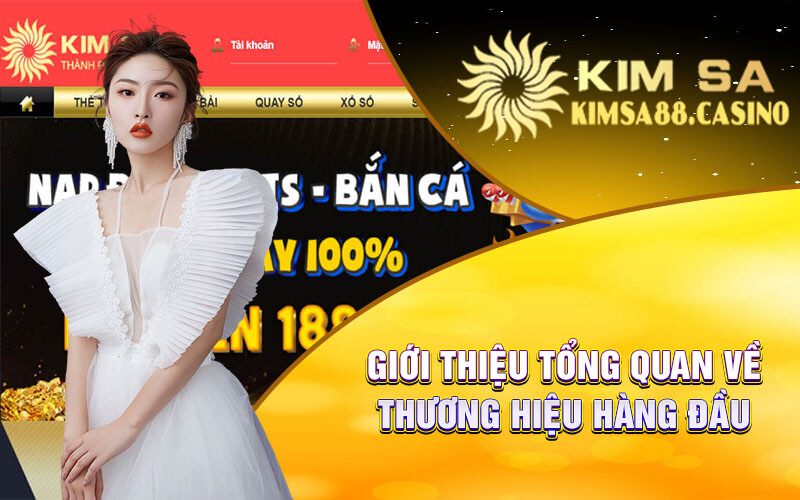 Giới Thiệu Tổng Quan Về Thương Hiệu Hàng Đầu 789win