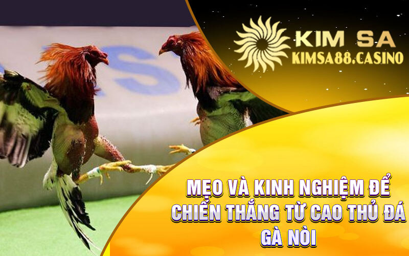 Mẹo Và Kinh Nghiệm Để Chiến Thắng Từ Cao Thủ Đá Gà Nòi